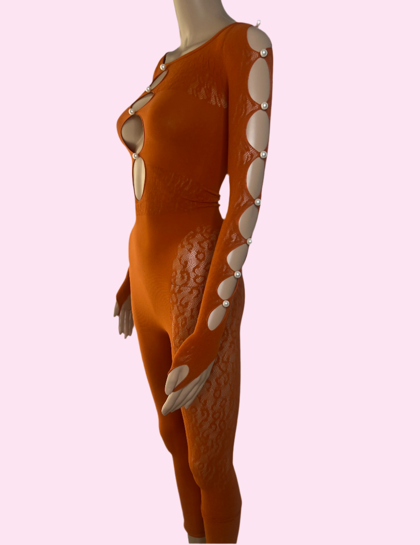 Leopard Mesh Full Length Bodysuit