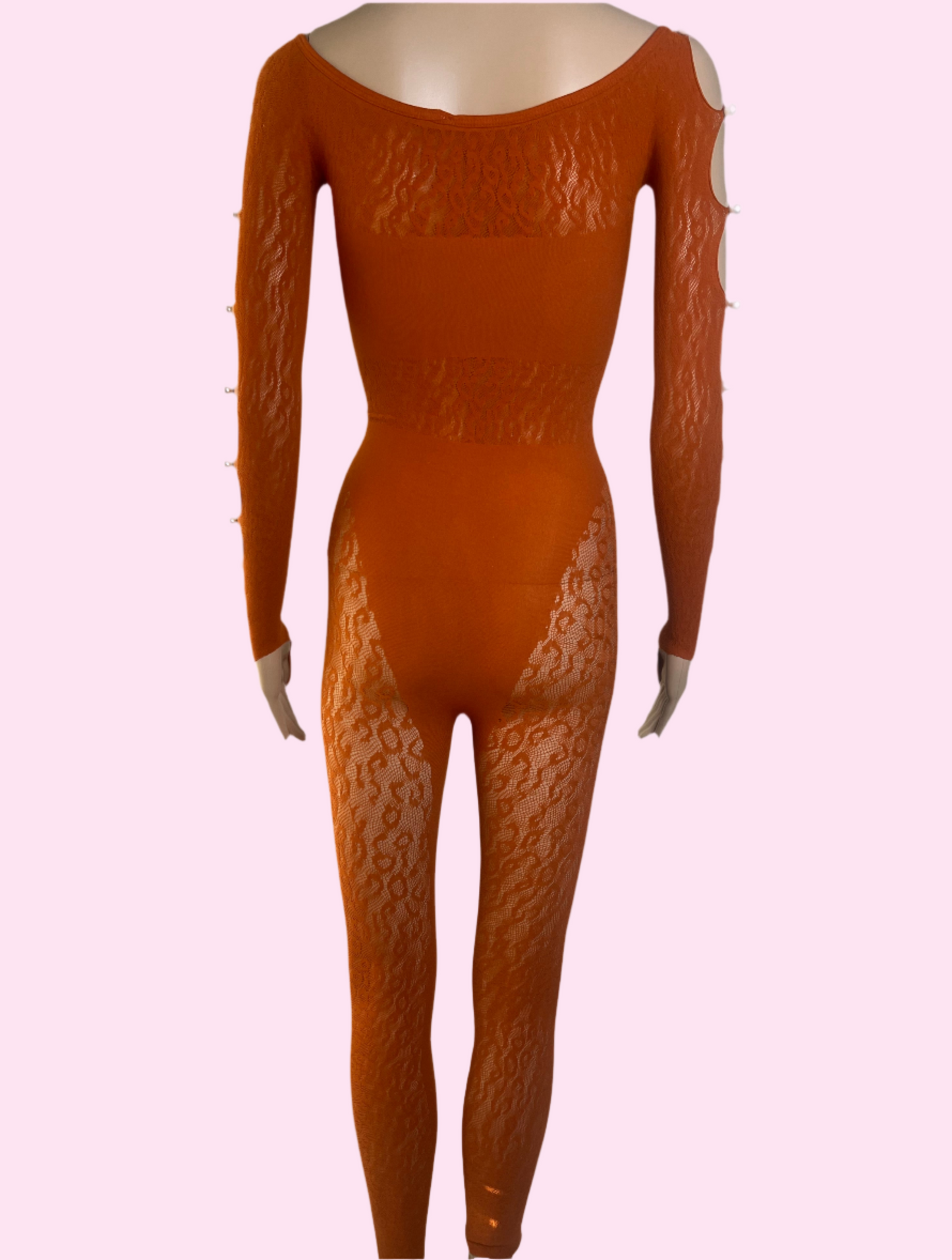 Leopard Mesh Full Length Bodysuit